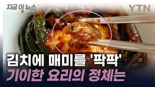 美, 김치에 매미를?...'1,000조 마리' 매미 대비한 요리법 소개 [지금이뉴스] / YTN