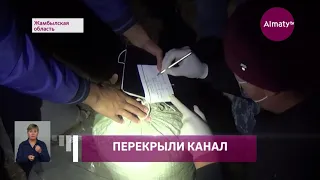 Полицейские Жамбылской области изъяли более 3 тонн наркотиков с начала года (04.11.21)