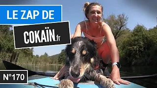 Le Zap de Cokaïn.fr n°170