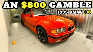 A RISKY BMW purchase | 95 E36 | putting it back together | Part 1