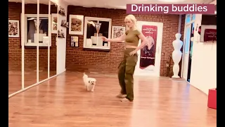 Drinking buddies, line dance teach