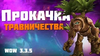 Гайд по прокачке ТРАВНИЧЕСТВА / wow 3.3.5 (Sirus.su)