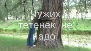 Светлана_0001.wmv