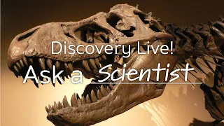 Discovery Live! Ask a scientist.