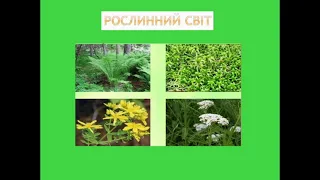 Урок з природознавства для   4 класу. Зона мішаних лісів. Полісся.