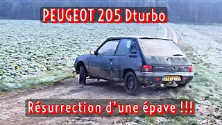 BARN FIND PEUGEOT 205 Dturbo : la résurrection d’une épave !!