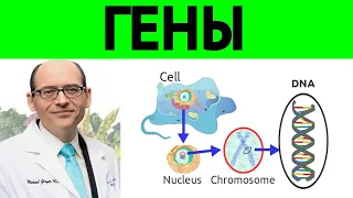 Ген болезни Альцгеймера: контроль ApoE - доктор Майкл Грегер