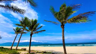 Amazing Tropical Beach with Soothing Ocean Wave Sounds for Relaxation, Study and Sleep Well