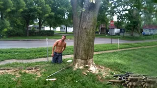 Funniest Tree Cutting Fails 9