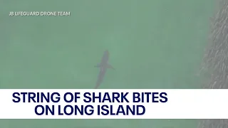 Long Island steps up shark patrols after string of bites