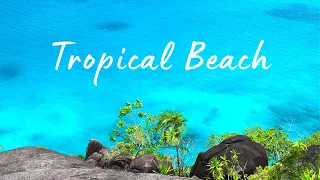 Aloha | Tropical ☀️ Beach Music & Ocean Island Scenery | Hawaiian Vibes 🌴 Positive Bossa Nova Music