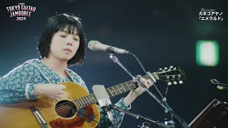 Kaneko Ayano - Emerald (Acoustic) / カネコアヤノ - エメラルド - LIVE 2024