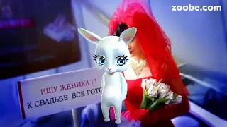 Зайка ZOOBE «Как удачно не выйти замуж»