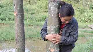 Chopping bamboo to prepare for building a new house