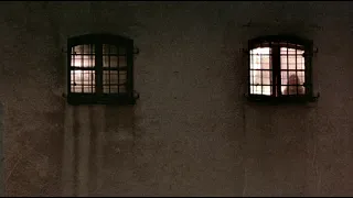 Three Colours: White (1994) by Krzysztof Kieslowski, Clip: Karol sees Dominique in prison and End...