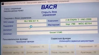 ВАСЯ диагност. Кодировка педали газа. Отзывчивость при нажатии.