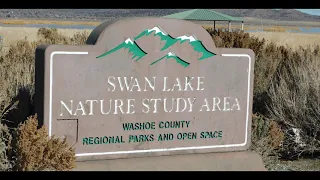 Park of the Week: Swan Lake Nature Study Area