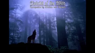 Celtic Music - Spirits of the Wild