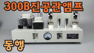 중국산 300B 진공관앰프 소리좋네요