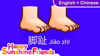 How to kids learn body parts (English and Chinese) | 身体儿童歌