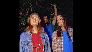 Nirvana - (HUB Ballroom, University of Washington, Seattle, WA, USA) 06/01/1990