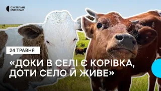 На Миколаївщині діє притулок для корів