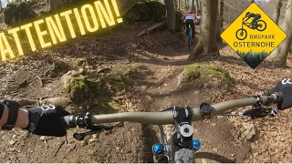 WURZELTRAIL I BIKEPARK OSTERNOHE 2022