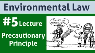 Environmental Law: Lecture 5|Precautionary Principle|