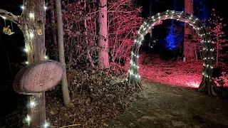 Archway into the Magical Fairy Forest 🧚✨