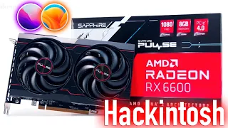 SAPPHIRE AMD RADEON RX 6600 PULSE 8GB! НАРОДНЫЙ ВЫБОР В СОВРЕМЕННОМ HACKINTOSH! - ALEXEY BORONENKOV