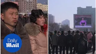 Pyongyang's citizens happy with North Korea's rocket launch - Daily Mail