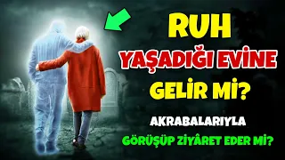 Ruh Yaşadığı Eve Gelir mi? Eş, Dost ve Akrabalarını Ziyâret Edip Onlarla Görüşür mü?