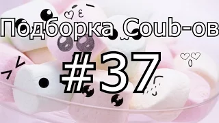 Подборка кубов! Coub compilation #37