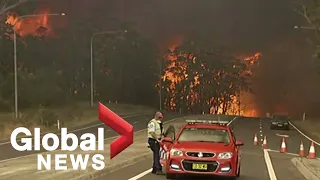 Deaths, losses mounting in Australia's disastrous bush fires