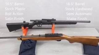 Watch This Video Ruger 10/22 and Savage FV-SR Review