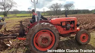 1967 Nuffield 10/42 2.8 Litre 3-Cyl Diesel Tractor (42 HP) with Ramsomes Reversible Plough