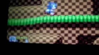 sonic the hedgehog genesis glitch