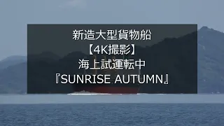 新造大型貨物船【4K撮影】海上試運転中『SUNRISE AUTUMN』