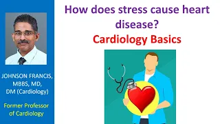 How does stress cause heart disease? Cardiology Basics