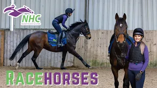 RIDING RACEHORSES Part 1 🏇🏽 | GIVE IT A GO | LilPetChannel