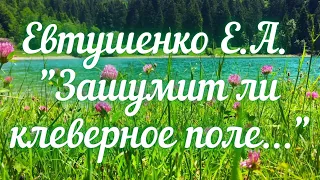 Евтушенко Е.А. Зашумит ли клеверное поле...