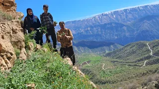 Going to the mountains to pick mountain plants and cook them by nomadic women