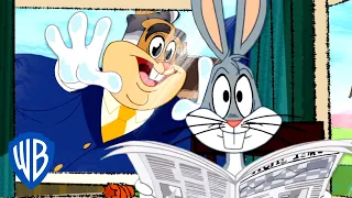 Merry Melodies: 'Wonderful Bugs' ft. Walter Bunny | Looney Tunes SING-ALONG | WB Kids