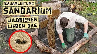 Lebensraum für Wildbienen in jedem Garten schaffen - Bauanleitung Sandarium