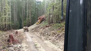 Fully Loaded Off Highway Logging Truck