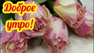 Доброе утро! Музыкальная видео открытка с добрым утром! Красивое пожелание с добрым утром!