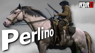 Do The Perlino Andalusian Rdr2 Crowd KNOW A SECRET?