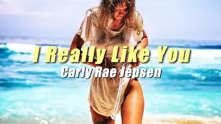 Carly Rae Jepsen - I Really Like You (Cover by ＋PLUSMUSIC EDM REMIX)