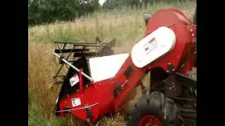 Boaz combine harvests black barley