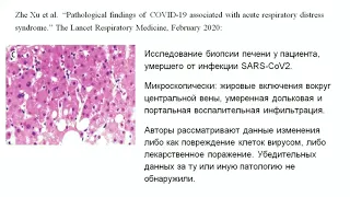 COVID-19: поражение ЖКТ и эндокринных желез